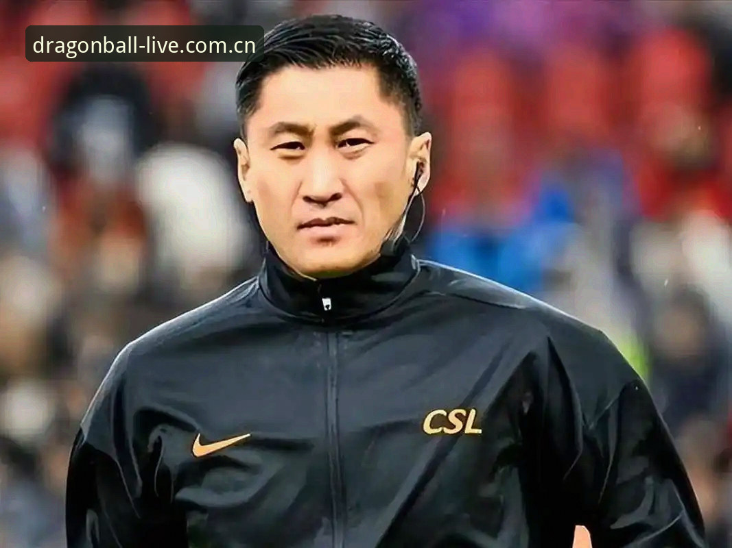 足球裁判马宁的世界杯之路：不看评论，看什么？